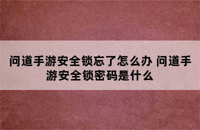 问道手游安全锁忘了怎么办 问道手游安全锁密码是什么